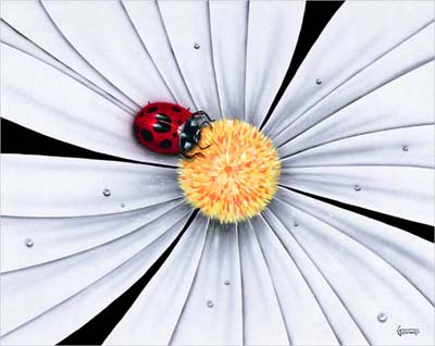 Michael Godard Ladybug, White Daisy Flower (AP)